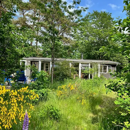 Black Wooden Summerhouse Near * אבלטופט