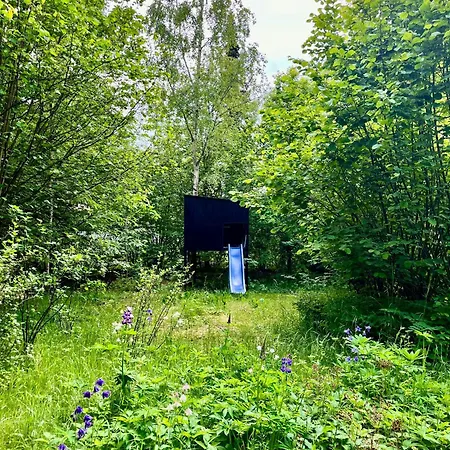 Black Wooden Summerhouse Near *
