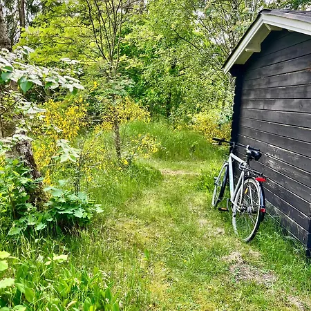 Black Wooden Summerhouse Near *