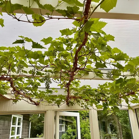 Tatil Evi Black Wooden Summerhouse Near Ebeltoft