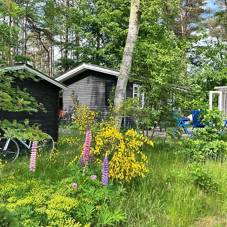 Tatil Evi Black Wooden Summerhouse Near