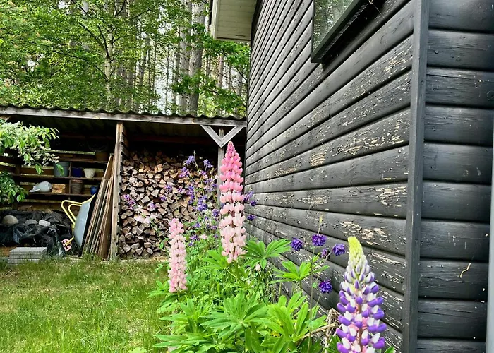 Tatil Evi Black Wooden Summerhouse Near Ebeltoft