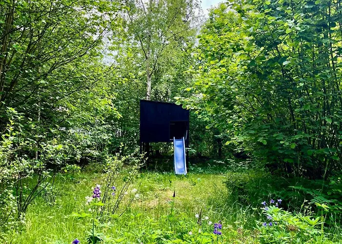 Black Wooden Summerhouse Near *