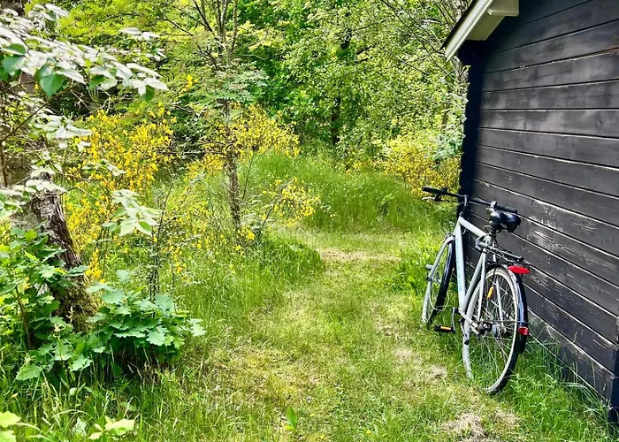 Black Wooden Summerhouse Near *