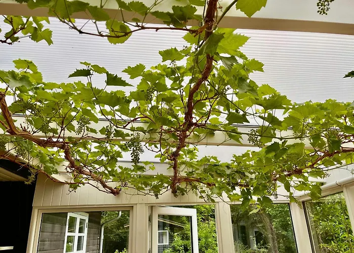 Tatil Evi Black Wooden Summerhouse Near Ebeltoft